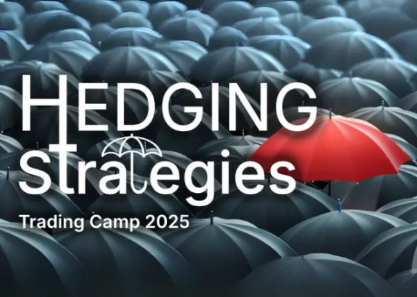 Hedging Strategies: Strategie di Copertura – QTLab